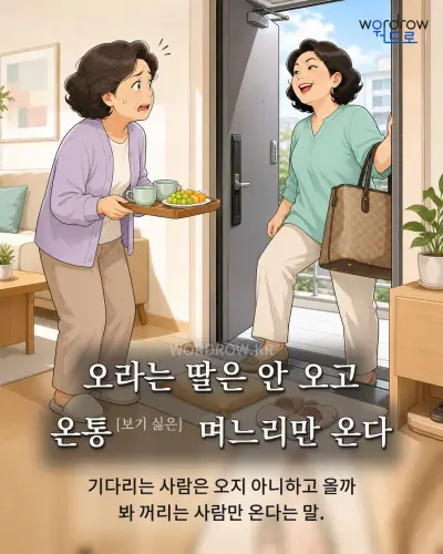 한국어 속담 “오라는 딸은 안 오고 온통 며느리만 온다” 1컷 일러스트