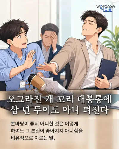 한국어 속담 “오그라진 개 꼬리 대봉통에 삼 년 두어도 아니 펴진다” 1컷 일러스트