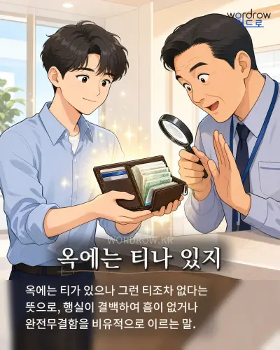 한국어 속담 “옥에는 티나 있지” 1컷 일러스트