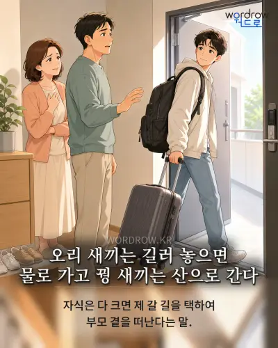 한국어 속담 “오리 새끼는 길러 놓으면 물로 가고 꿩 새끼는 산으로 간다” 1컷 일러스트