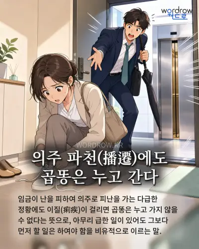 한국어 속담 “의주 파천(播遷)에도 곱똥은 누고 간다” 1컷 일러스트