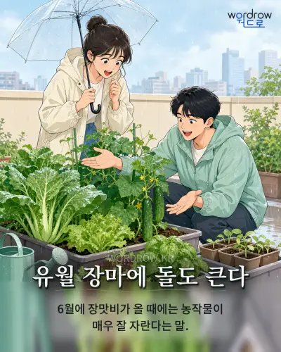 한국어 속담 “유월 장마에 돌도 큰다” 1컷 일러스트