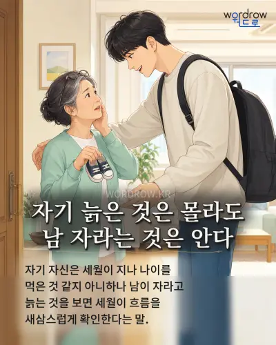 한국어 속담 “자기 늙은 것은 몰라도 남 자라는 것은 안다” 1컷 일러스트