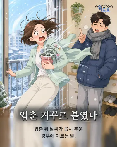 한국어 속담 “입춘 거꾸로 붙였나” 1컷 일러스트