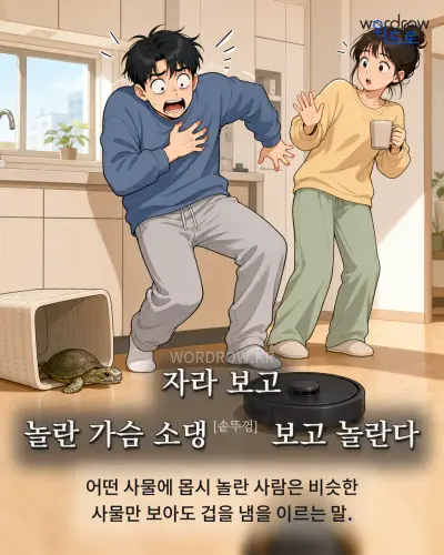 한국어 속담 “자라 보고 놀란 가슴 소댕[솥뚜껑] 보고 놀란다” 1컷 일러스트