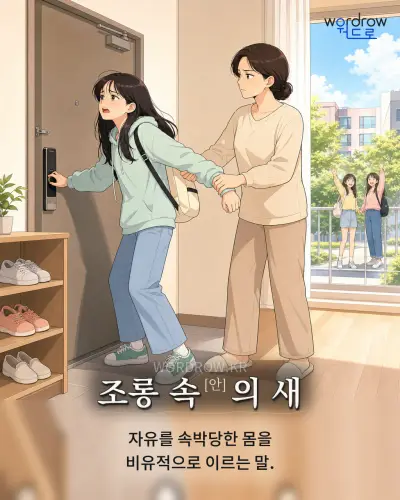 한국어 속담 “조롱 속[안]의 새” 1컷 일러스트