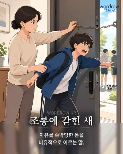 한국어 속담 “조롱에 갇힌 새” 1컷 일러스트