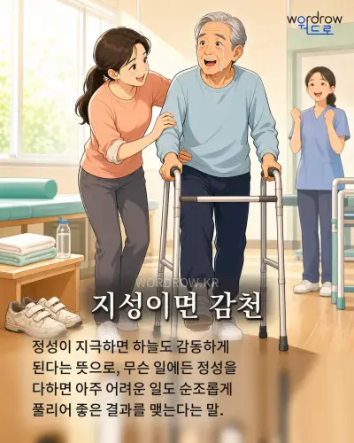 한국어 속담 “지성이면 감천” 1컷 일러스트