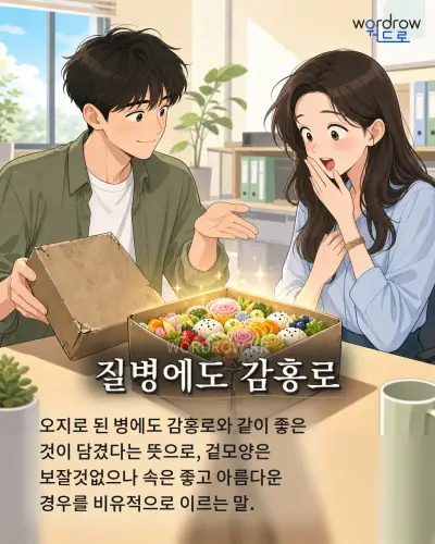 한국어 속담 “질병에도 감홍로” 1컷 일러스트