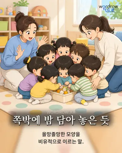한국어 속담 “쪽박에 밤 담아 놓은 듯” 1컷 일러스트