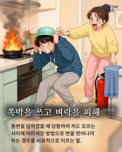 한국어 속담 “쪽박을 쓰고 벼락을 피해”를 한 장면으로 담은 1컷 일러스트