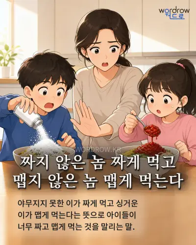 한국어 속담 “짜지 않은 놈 짜게 먹고 맵지 않은 놈 맵게 먹는다”를 한 장면으로 담은 1컷 일러스트