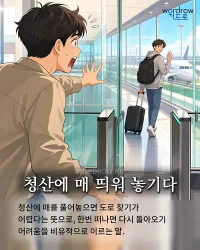 한국어 속담 “청산에 매 띄워 놓기다” 1컷 일러스트
