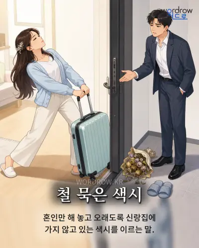 한국어 속담 “철 묵은 색시” 1컷 일러스트