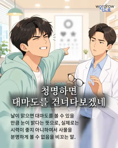 한국어 속담 “청명하면 대마도를 건너다보겠네” 1컷 일러스트
