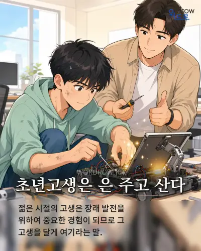 한국어 속담 “초년고생은 은 주고 산다” 1컷 일러스트