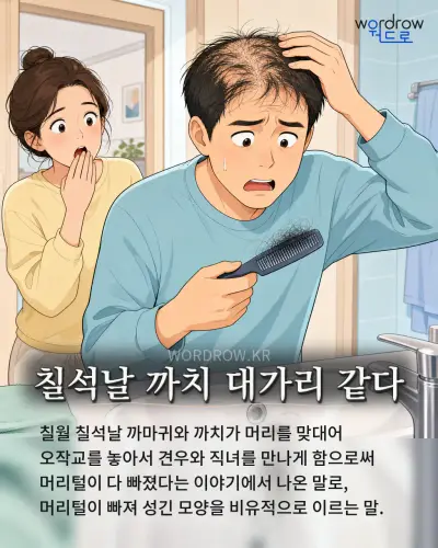 한국어 속담 “칠석날 까치 대가리 같다” 1컷 일러스트