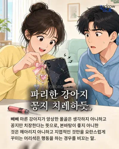 한국어 속담 “파리한 강아지 꽁지 치레하듯” 1컷 일러스트