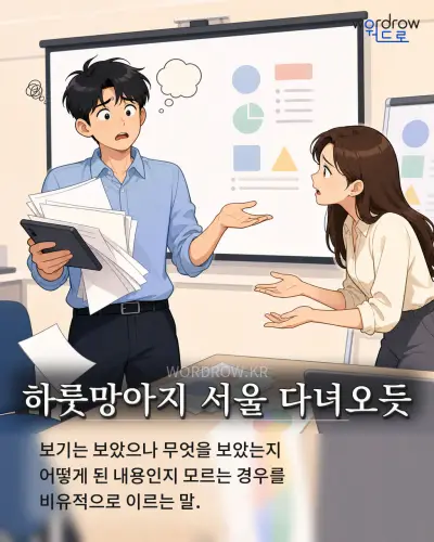 한국어 속담 “하룻망아지 서울 다녀오듯” 1컷 일러스트