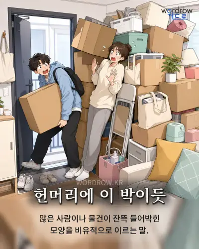 한국어 속담 “헌머리에 이 박이듯” 1컷 일러스트