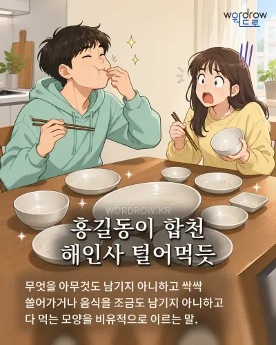 한국어 속담 “홍길동이 합천 해인사 털어먹듯” 1컷 일러스트