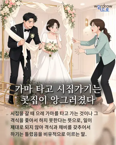 한국어 속담 “가마 타고 시집가기는 콧집이 앙그러졌다” 1컷 일러스트