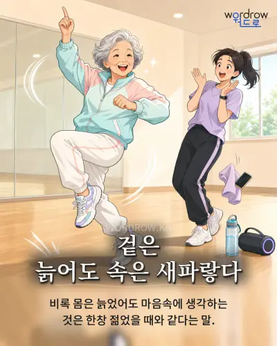 한국어 속담 “겉은 늙어도 속은 새파랗다” 1컷 일러스트