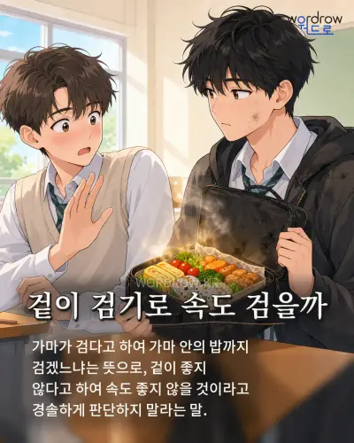한국어 속담 “겉이 검기로 속도 검을까” 1컷 일러스트