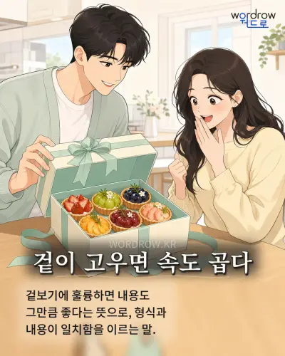 한국어 속담 “겉이 고우면 속도 곱다” 1컷 일러스트