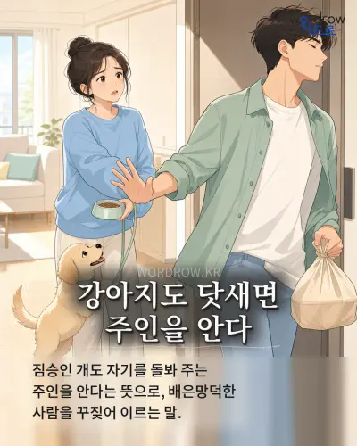 한국어 속담 “강아지도 닷새면 주인을 안다” 1컷 일러스트