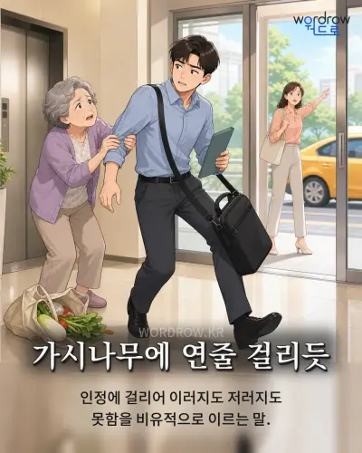 한국어 속담 “가시나무에 연줄 걸리듯” 1컷 일러스트