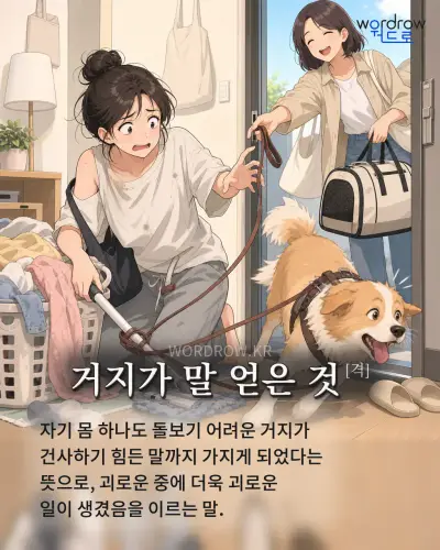 한국어 속담 “거지가 말 얻은 것” 1컷 일러스트