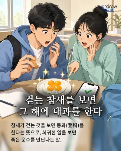 한국어 속담 “걷는 참새를 보면 그 해에 대과를 한다” 1컷 일러스트