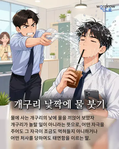 한국어 속담 “개구리 낯짝에 물 붓기” 1컷 일러스트