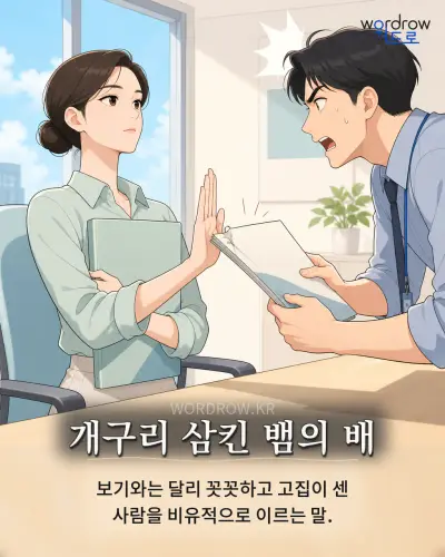 한국어 속담 “개구리 삼킨 뱀의 배”를 한 장면으로 담은 1컷 일러스트