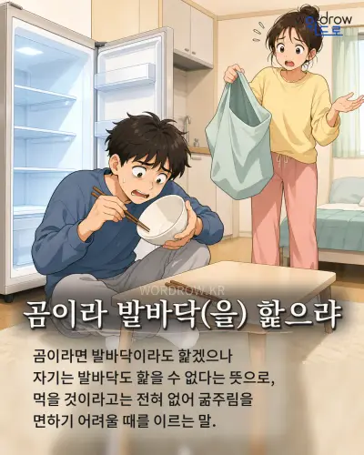 한국어 속담 “곰이라 발바닥 핥으랴” 1컷 일러스트