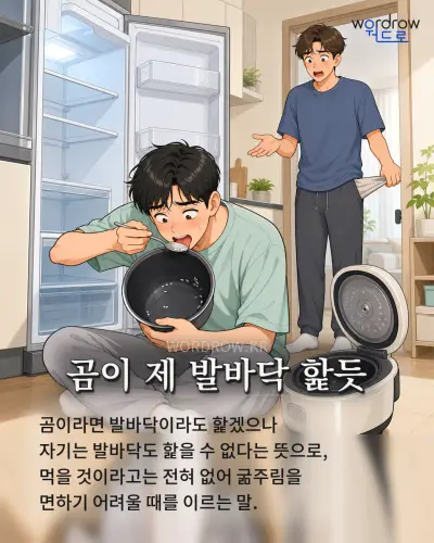 한국어 속담 “곰이 제 발바닥 핥듯” 1컷 일러스트