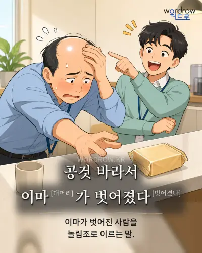 한국어 속담 “공것 바라서 이마가 벗어졌다” 1컷 일러스트