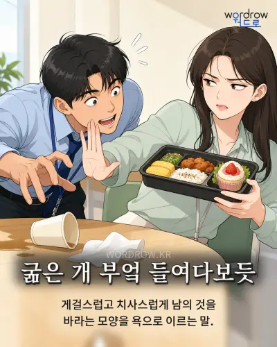 한국어 속담 “굶은 개 부엌 들여다보듯”를 한 장면으로 담은 1컷 일러스트