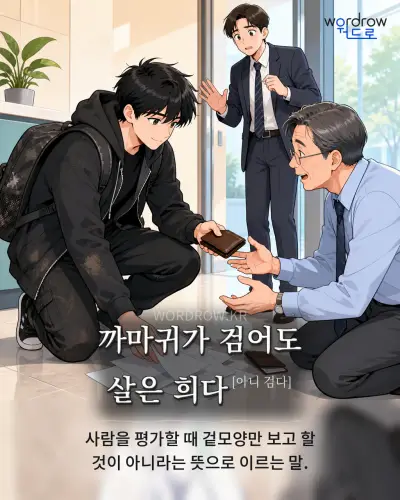한국어 속담 “까마귀가 검어도 살은 희다” 1컷 일러스트
