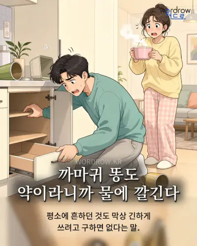 한국어 속담 “까마귀 똥도 약이라니까 물에 깔긴다” 1컷 일러스트