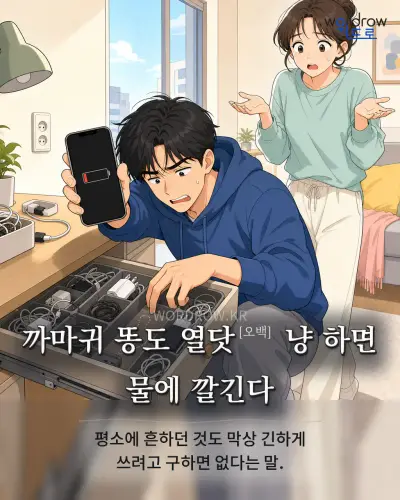 한국어 속담 “까마귀 똥도 열닷[오백] 냥 하면 물에 깔긴다” 1컷 일러스트