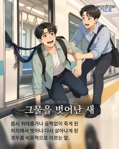 한국어 속담 “그물을 벗어난 새” 1컷 일러스트