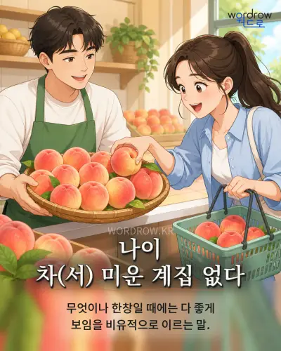 한국어 속담 “나이 차 미운 계집 없다” 1컷 일러스트