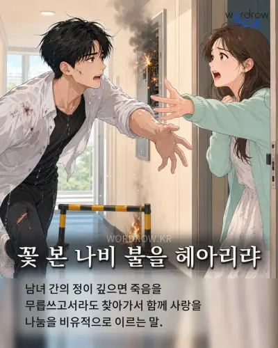 한국어 속담 “꽃 본 나비 불을 헤아리랴” 1컷 일러스트