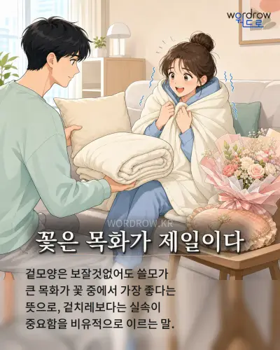 한국어 속담 “꽃은 목화가 제일이다” 1컷 일러스트