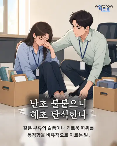 한국어 속담 “난초 불붙으니 혜초 탄식한다” 1컷 일러스트