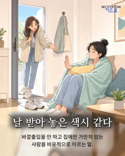 한국어 속담 “날 받아 놓은 색시 같다”를 한 장면으로 담은 1컷 일러스트