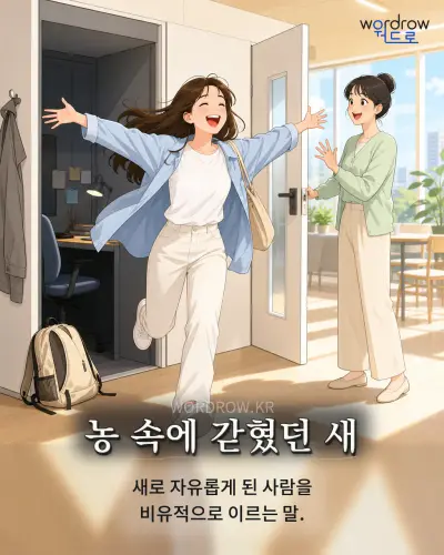 한국어 속담 “농 속에 갇혔던 새” 1컷 일러스트
