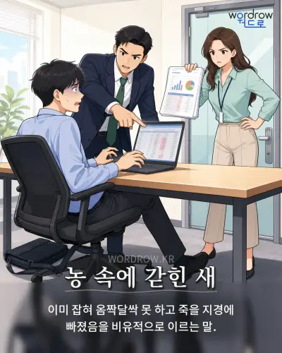 한국어 속담 “농 속에 갇힌 새” 1컷 일러스트